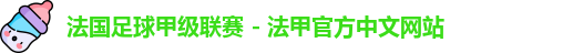 法国足球甲级联赛